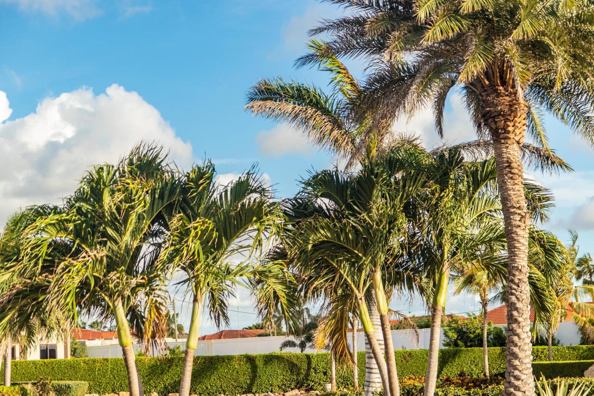 Bocobay Gold Coast Resort Palm Beach Exterior photo